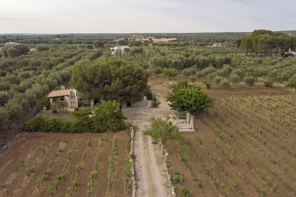 Villa Principe Degli Olivi Maruggio Exterior foto
