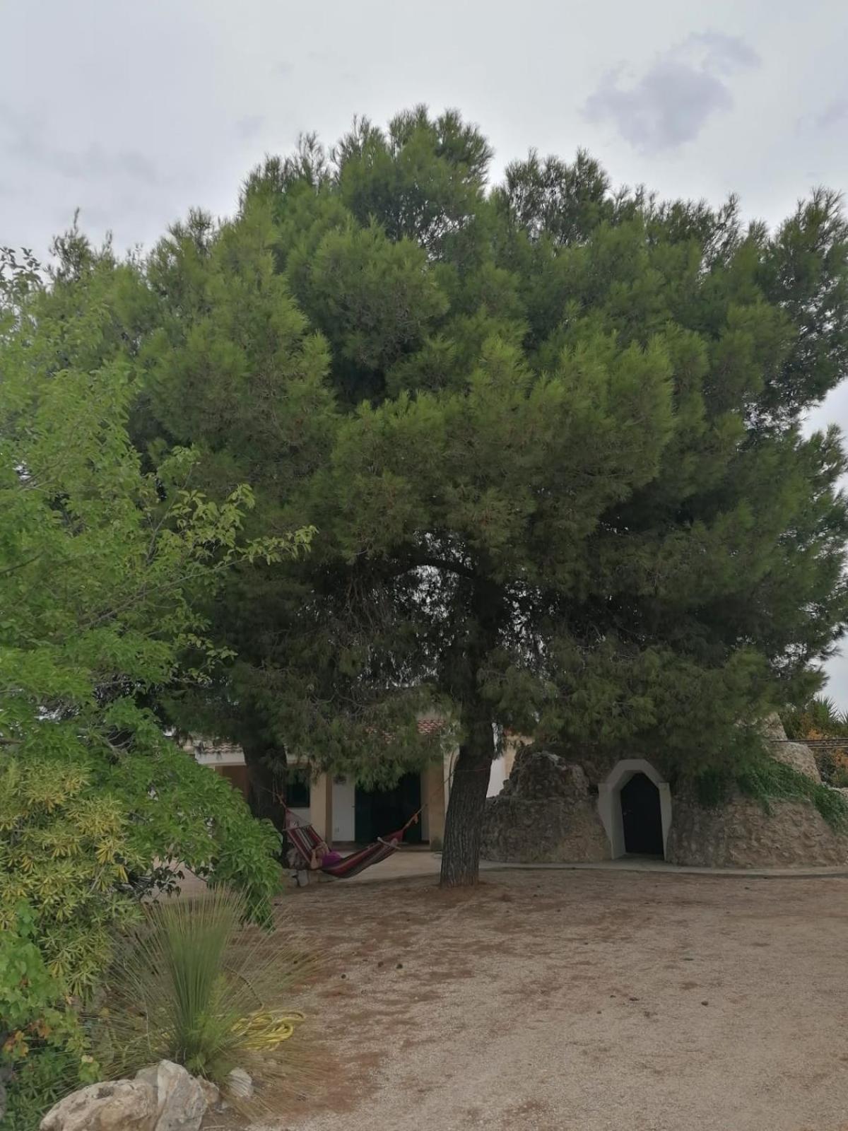 Villa Principe Degli Olivi Maruggio Exterior foto